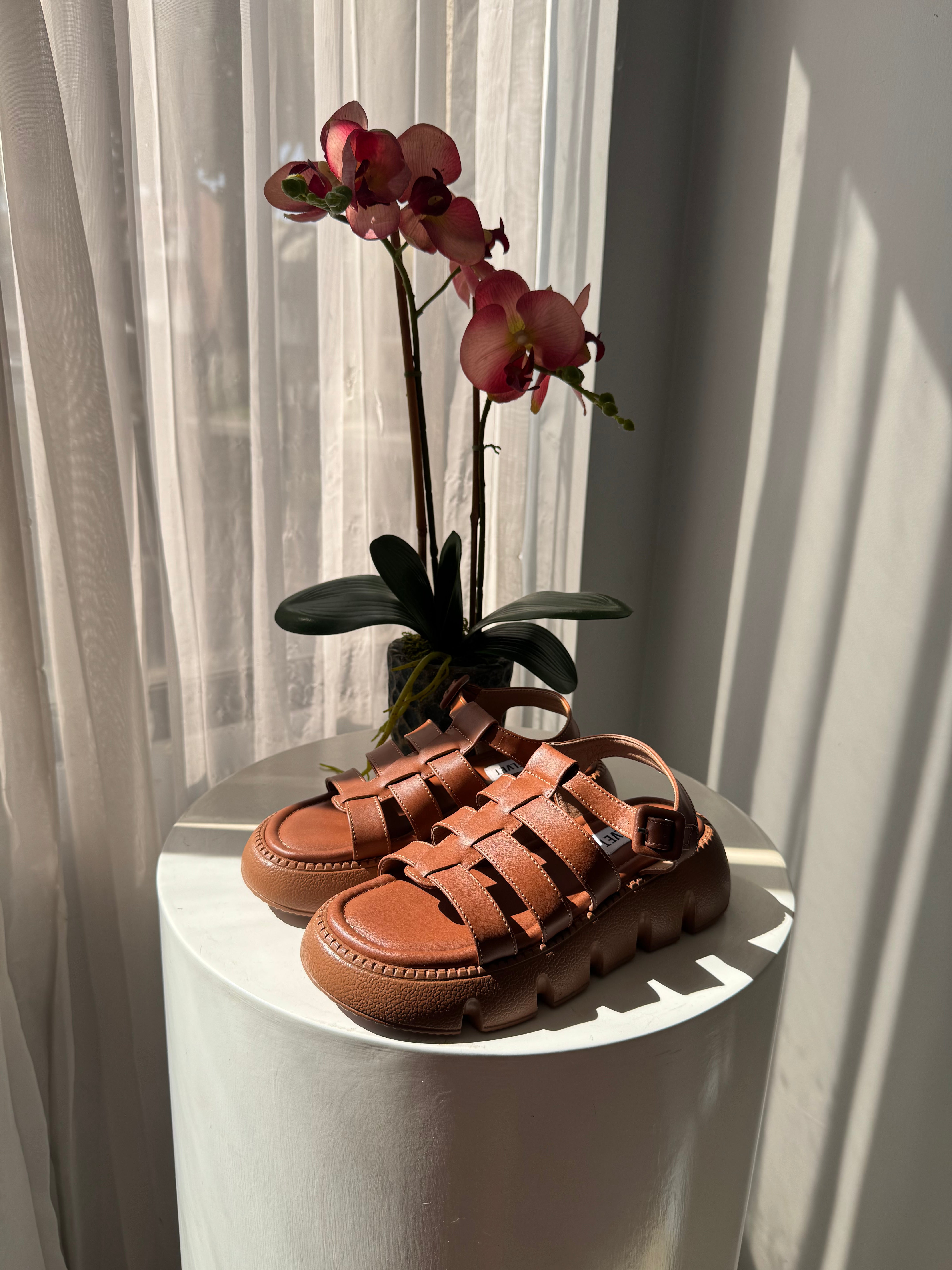 INDRA PLATAFORMAS CAFÉ