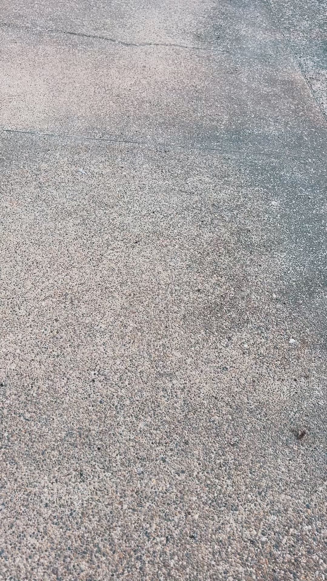 SIENA PLATAFORMAS NEGRO