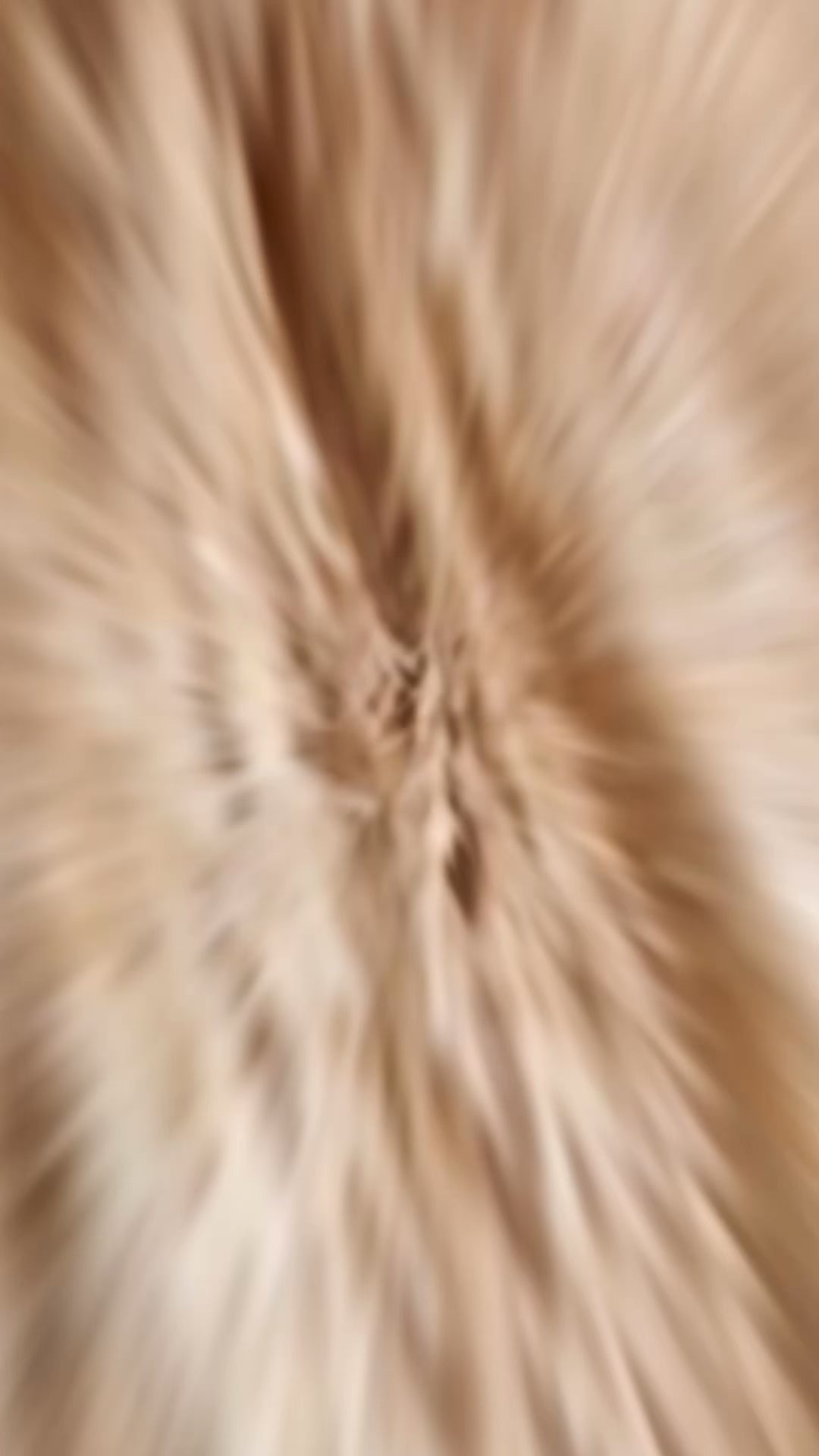 TERRA PLATAFORMAS BEIGE